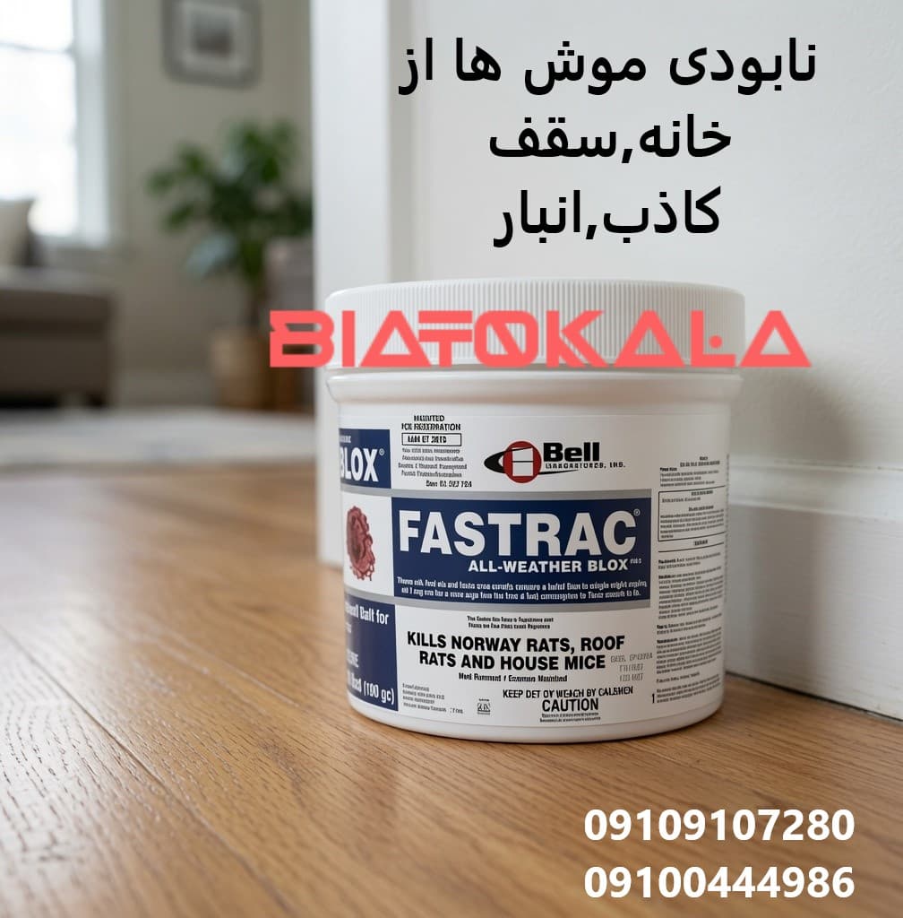 ریشه کنی و نابودی موش ها 